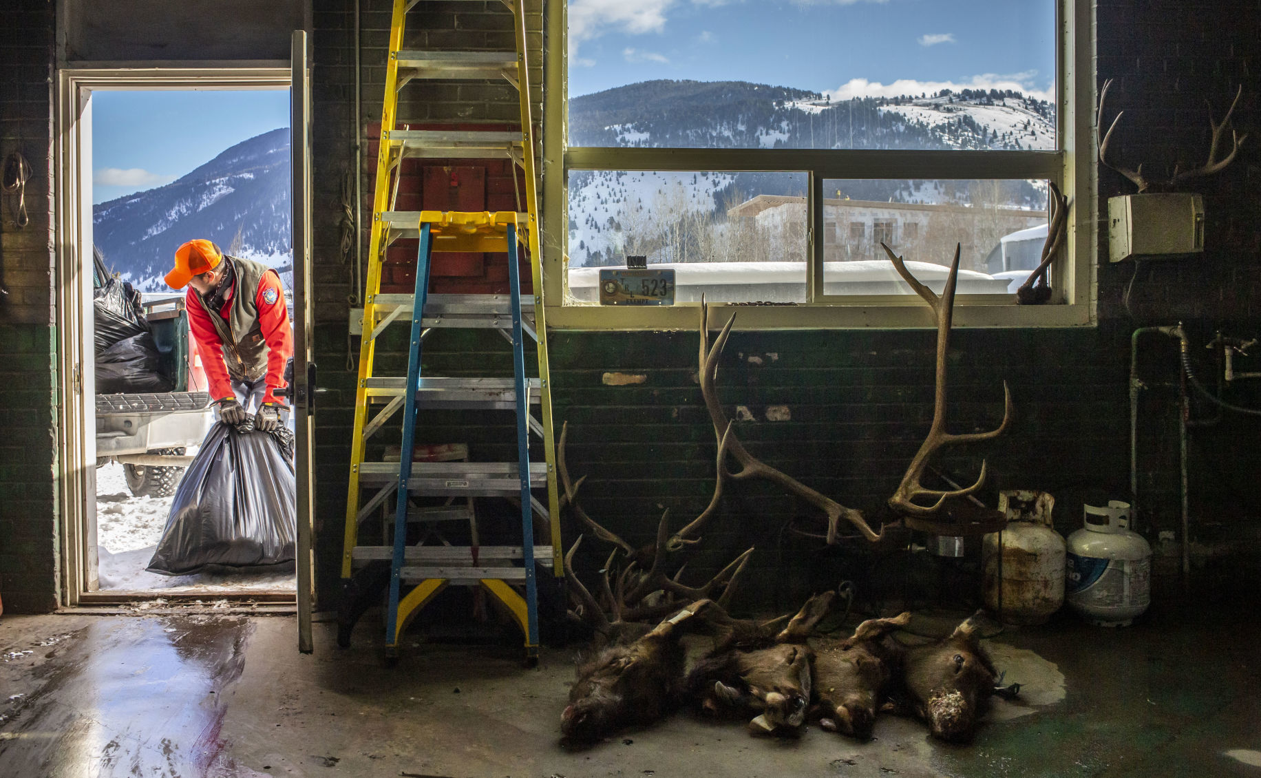 CWD reaches Jackson Hole